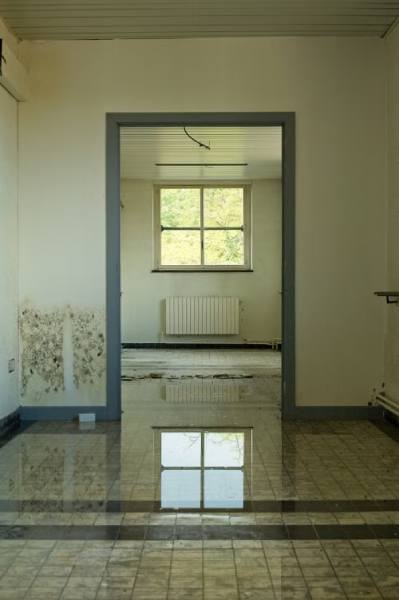 water damage repair